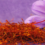 Interesting Facts About Herbs and Spices #2