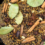 Garam Masala Spice Mix by AG Holding